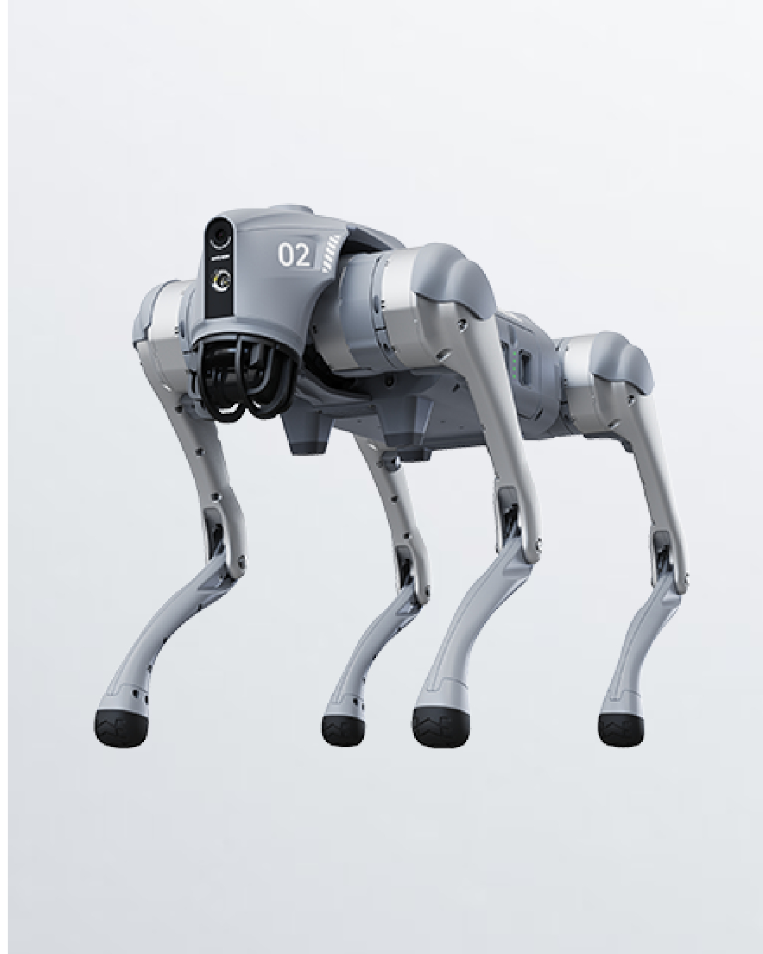 Robot Dog Superstar